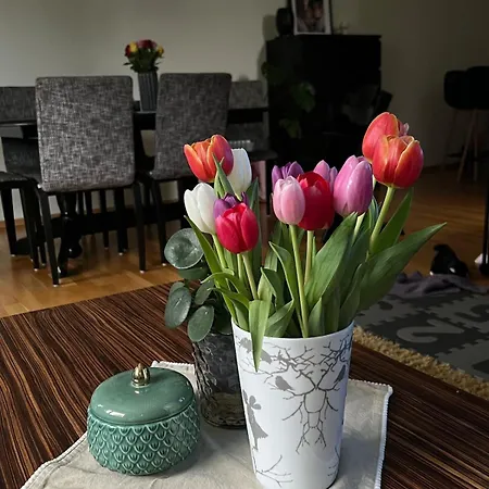 Vakantiehuis Spacious 3 Bed Terraced House Trondheim